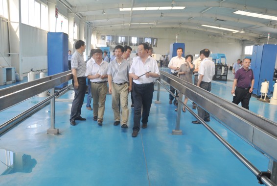 6t体育(6TSPORTS)·集团股份公司