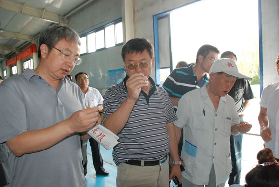 6t体育(6TSPORTS)·集团股份公司