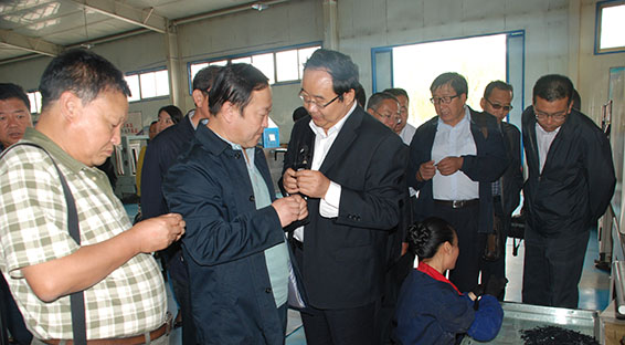 6t体育(6TSPORTS)·集团股份公司