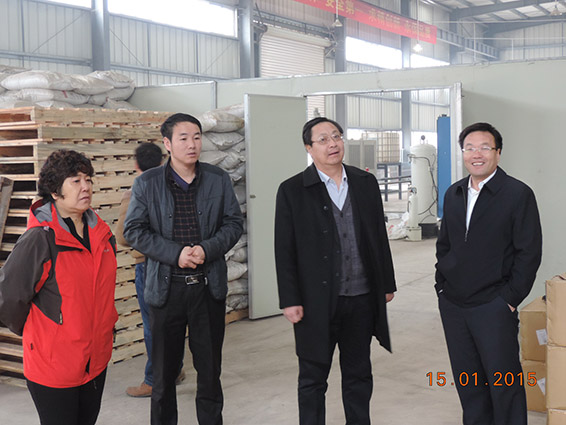 6t体育(6TSPORTS)·集团股份公司