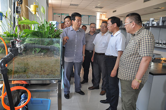 6t体育(6TSPORTS)·集团股份公司