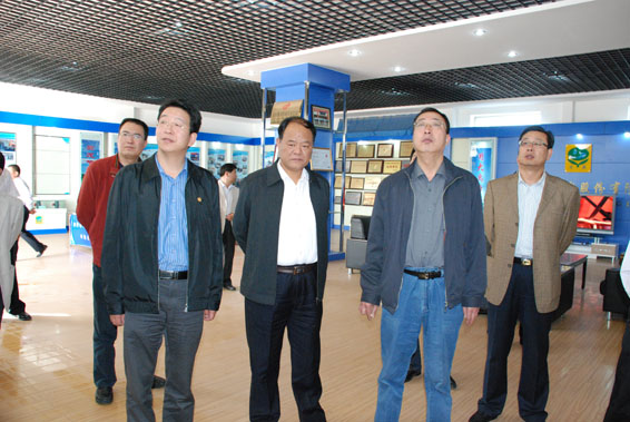 6t体育(6TSPORTS)·集团股份公司