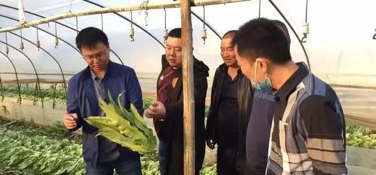 k1���� - ʮ��Ʒ�� ֵ������