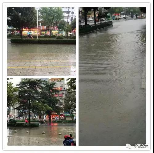 k1���� - ʮ��Ʒ�� ֵ������