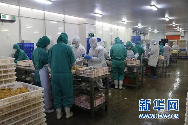 k1���� - ʮ��Ʒ�� ֵ������