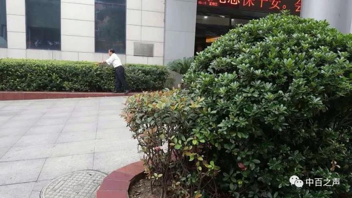 k1���� - ʮ��Ʒ�� ֵ������