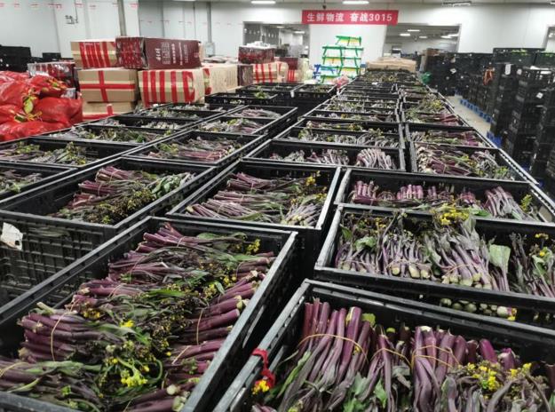 k1���� - ʮ��Ʒ�� ֵ������