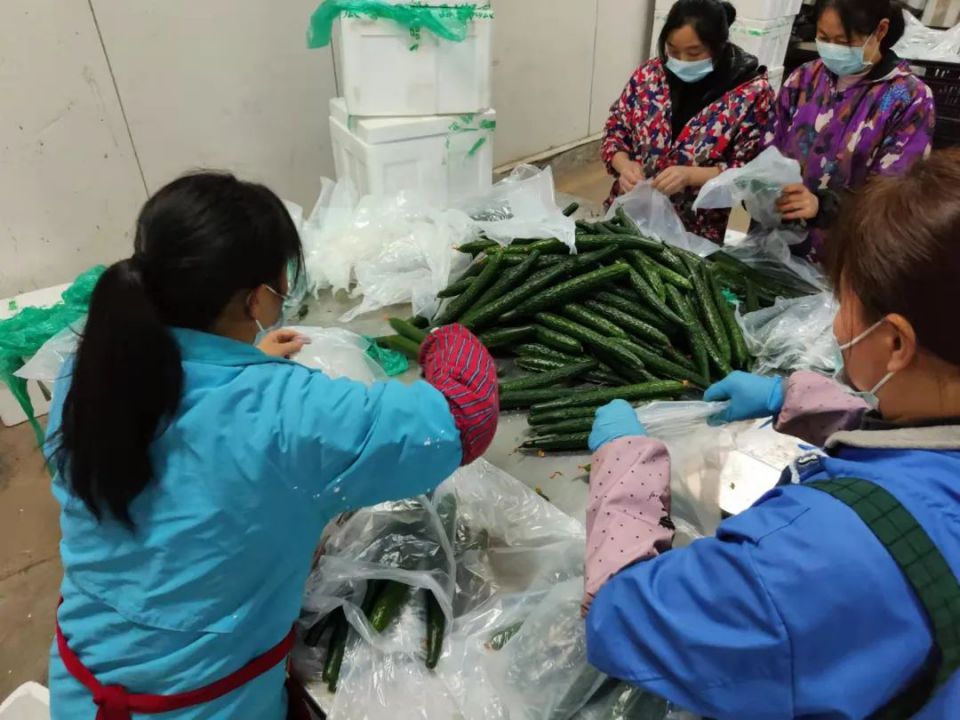 k1���� - ʮ��Ʒ�� ֵ������