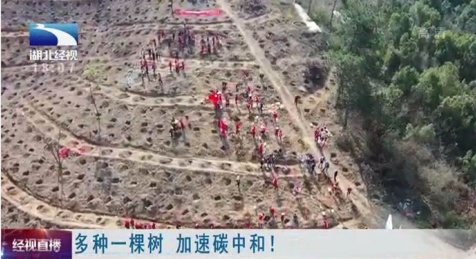 k1���� - ʮ��Ʒ�� ֵ������