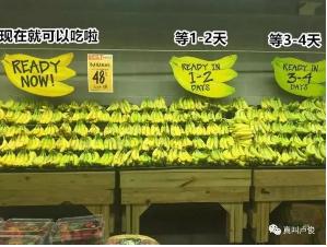 k1���� - ʮ��Ʒ�� ֵ������