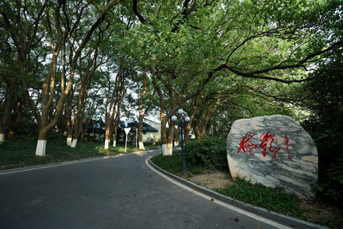 k1���� - ʮ��Ʒ�� ֵ������