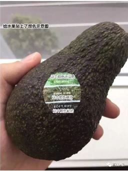 k1���� - ʮ��Ʒ�� ֵ������