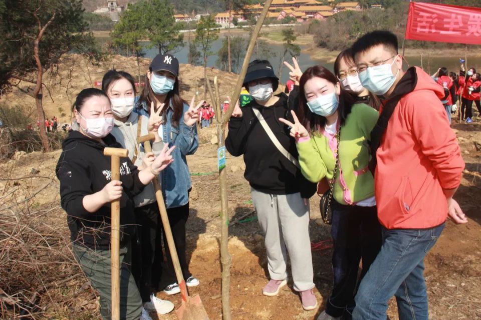 k1���� - ʮ��Ʒ�� ֵ������