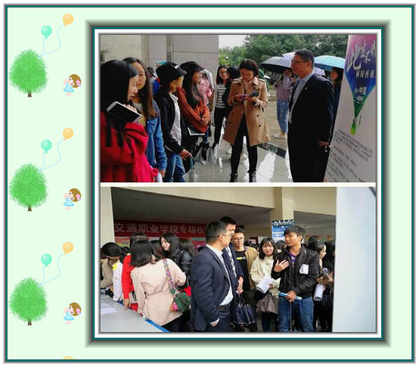 k1���� - ʮ��Ʒ�� ֵ������