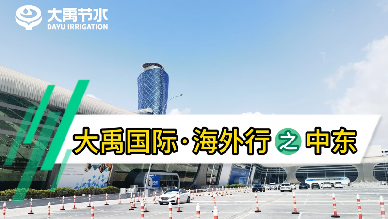 6tʡ֮ж