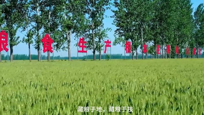 6tˮƽ߱׼ũｨʳ徲صԿƼνһ