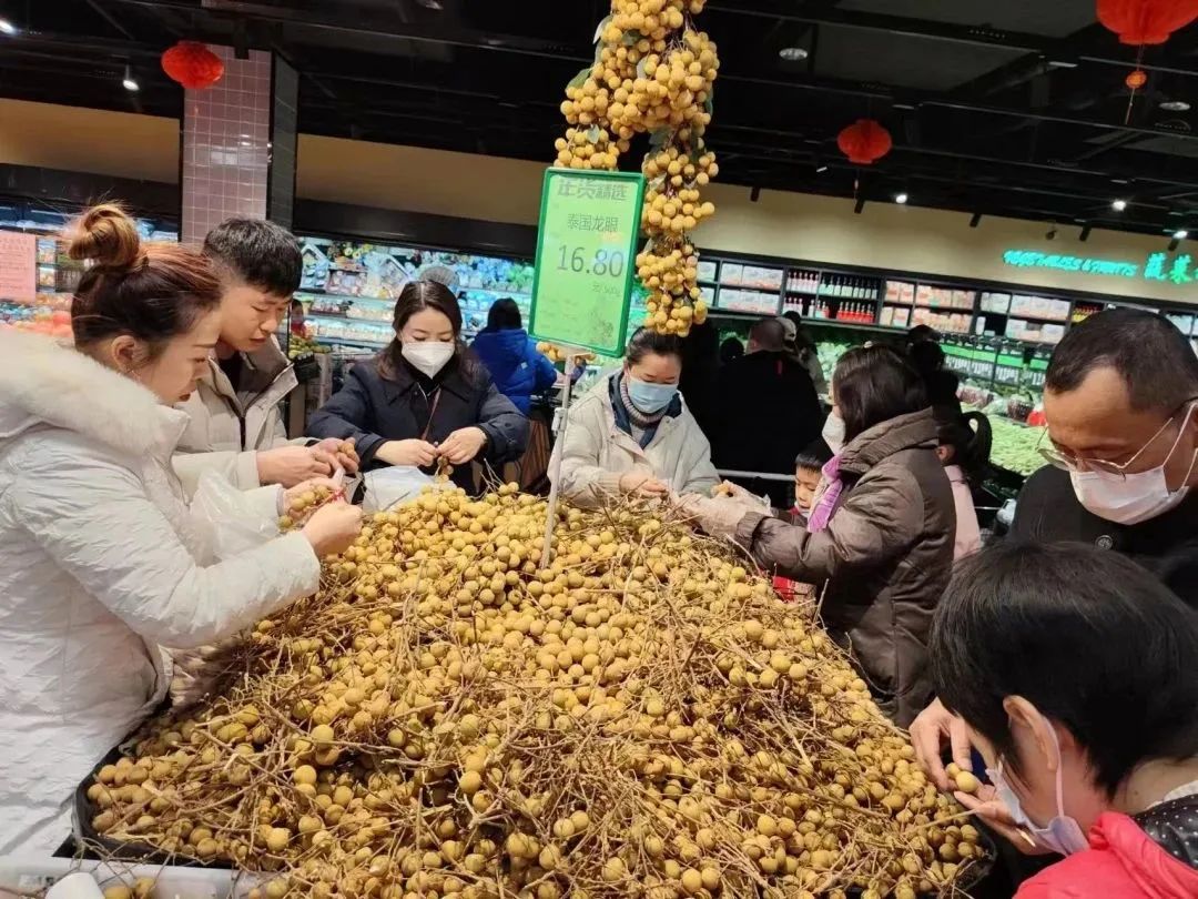 k1���� - ʮ��Ʒ�� ֵ������