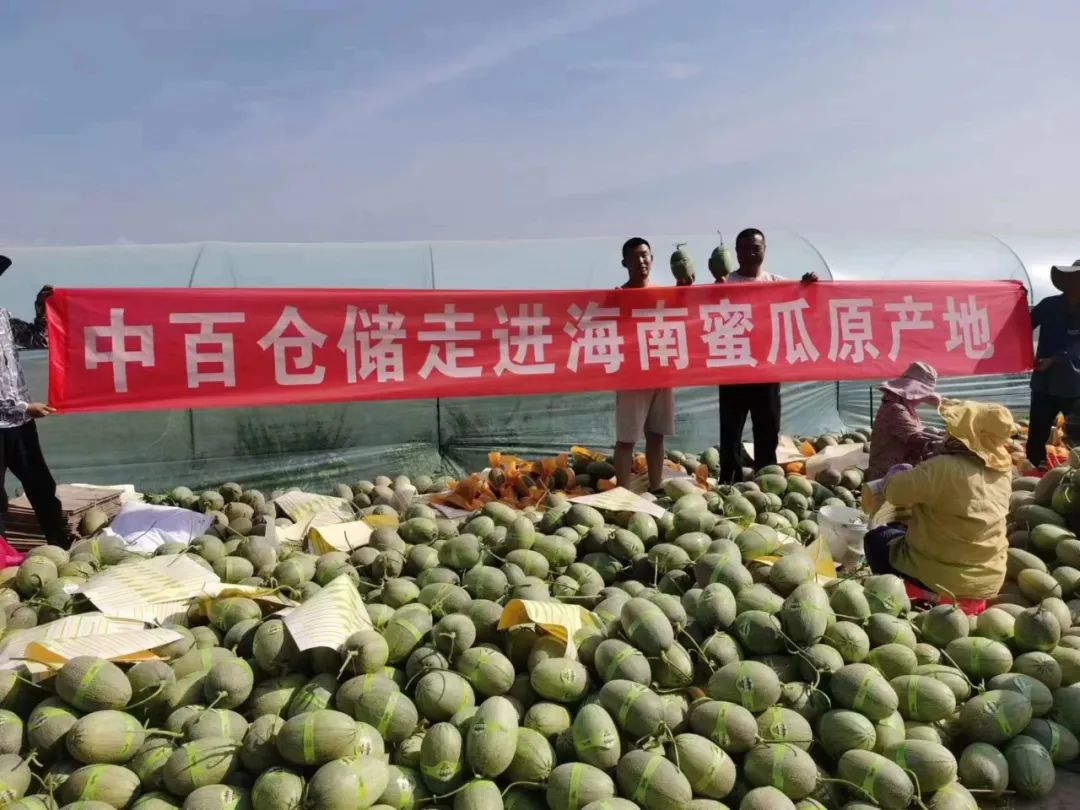 k1���� - ʮ��Ʒ�� ֵ������