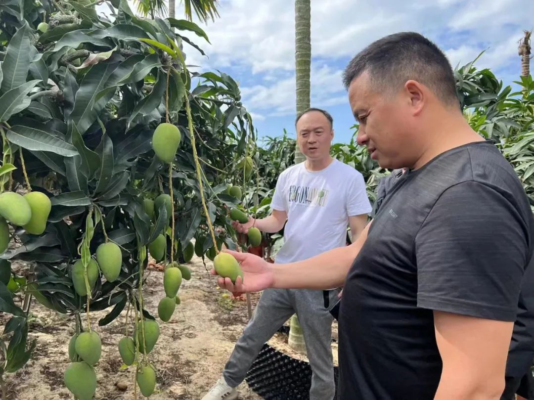 k1���� - ʮ��Ʒ�� ֵ������