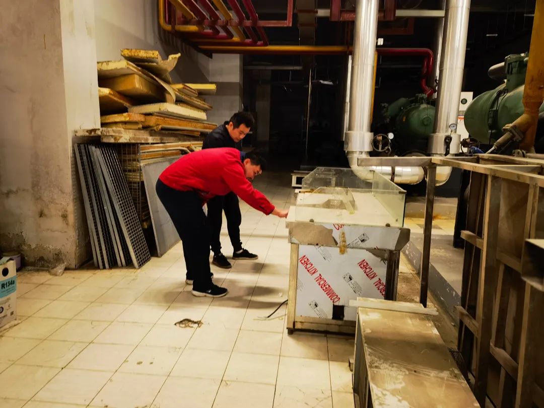 k1���� - ʮ��Ʒ�� ֵ������