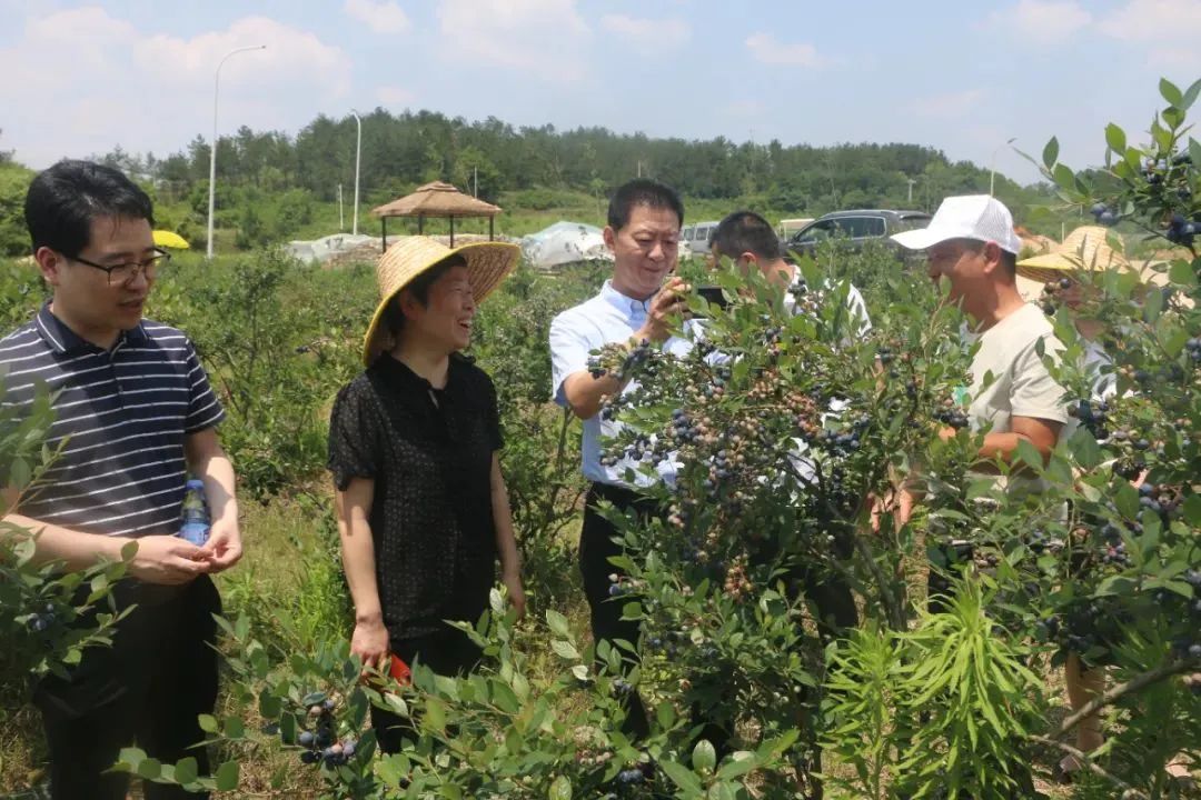 k1���� - ʮ��Ʒ�� ֵ������