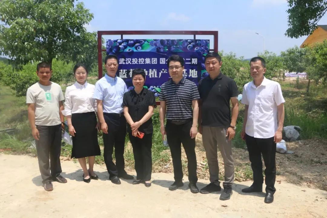 k1���� - ʮ��Ʒ�� ֵ������