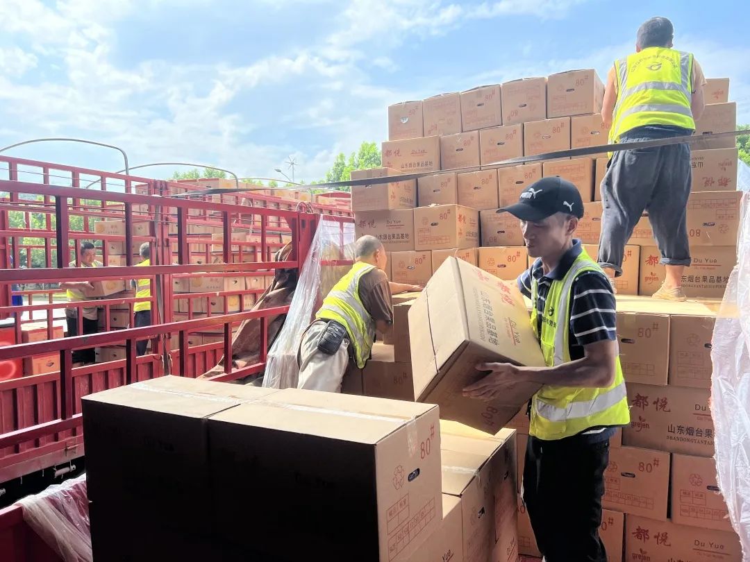 k1���� - ʮ��Ʒ�� ֵ������