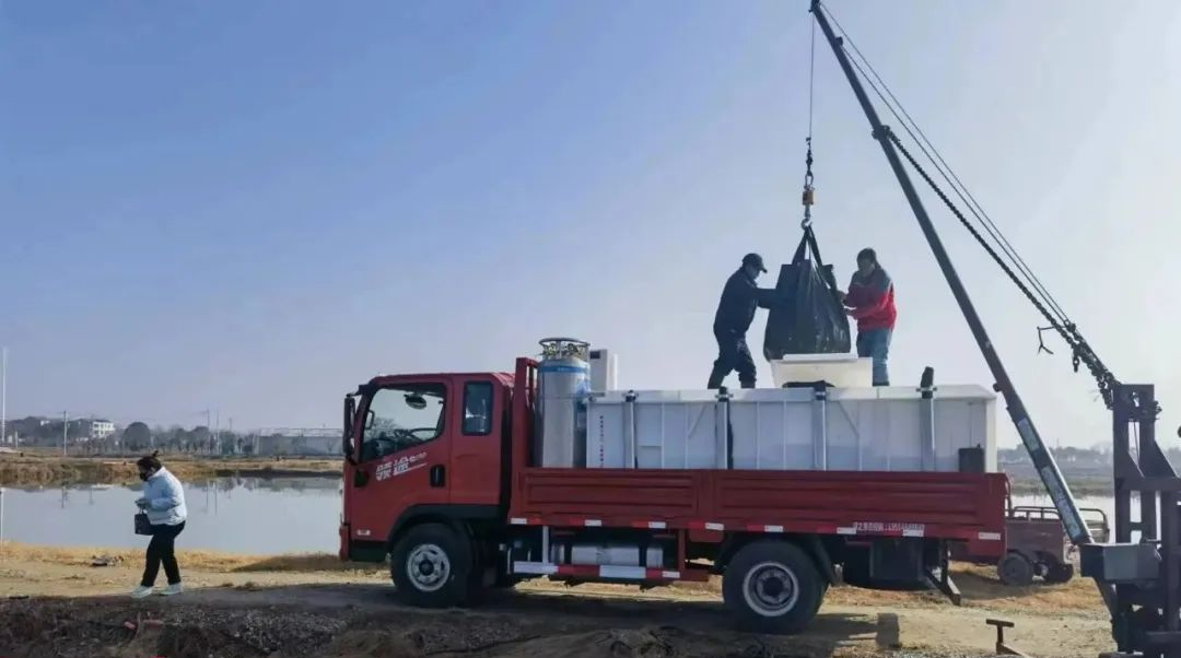 k1���� - ʮ��Ʒ�� ֵ������