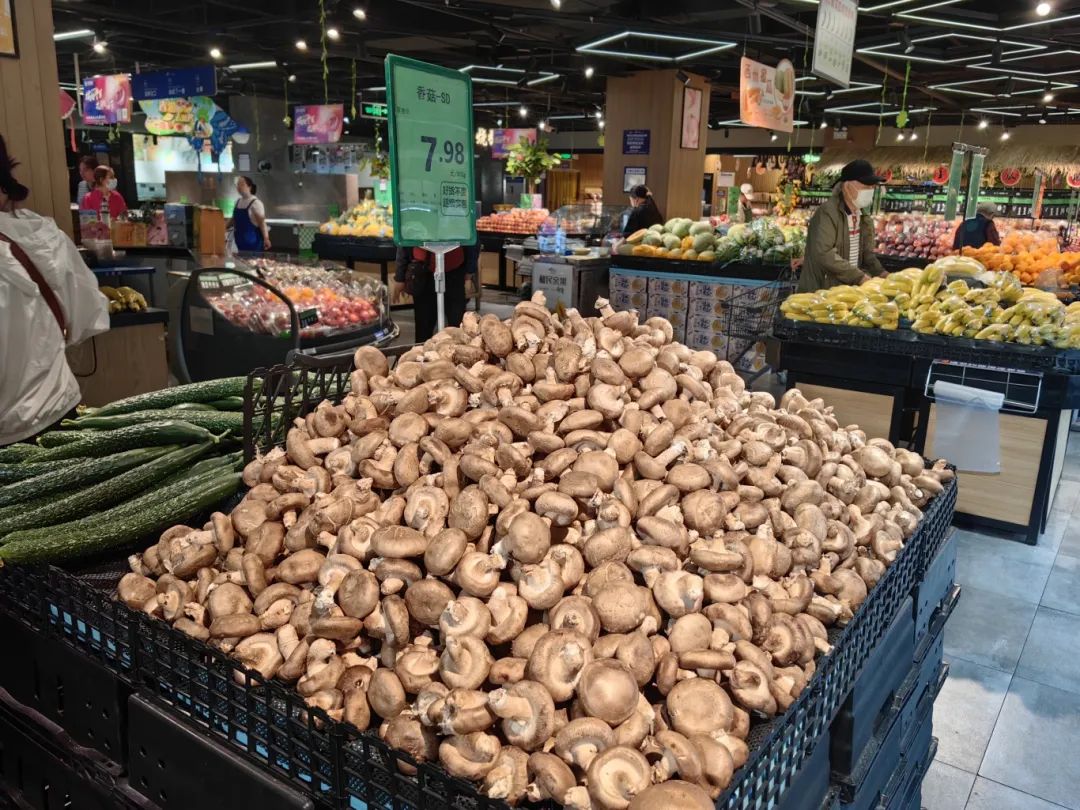 k1���� - ʮ��Ʒ�� ֵ������