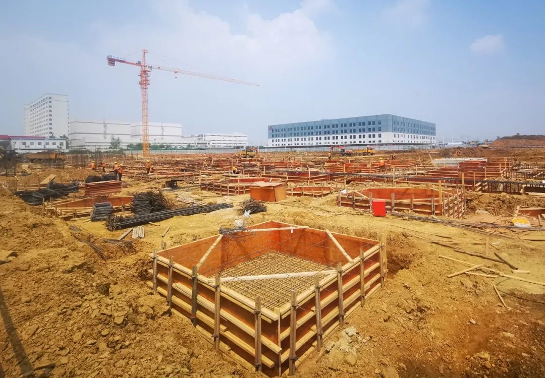 k1���� - ʮ��Ʒ�� ֵ������