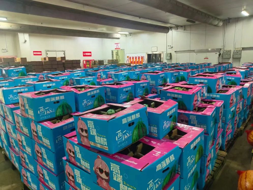 k1���� - ʮ��Ʒ�� ֵ������