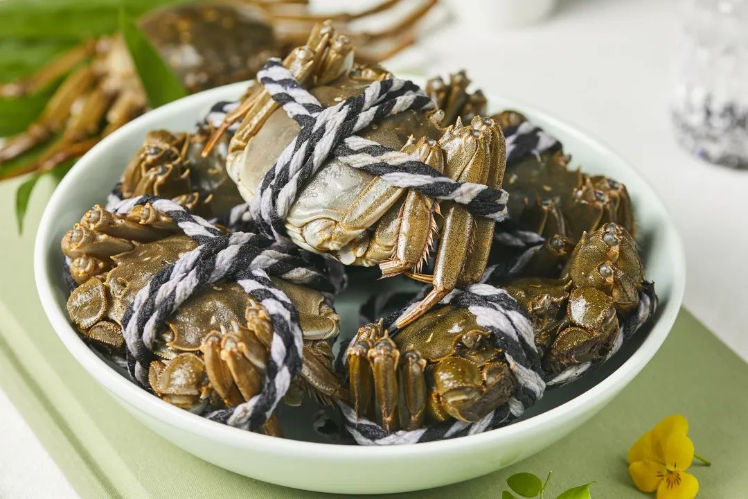 k1���� - ʮ��Ʒ�� ֵ������