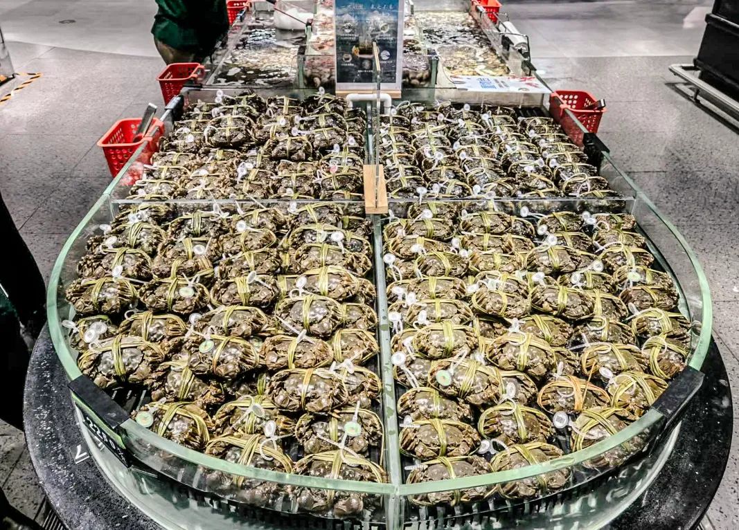 k1���� - ʮ��Ʒ�� ֵ������