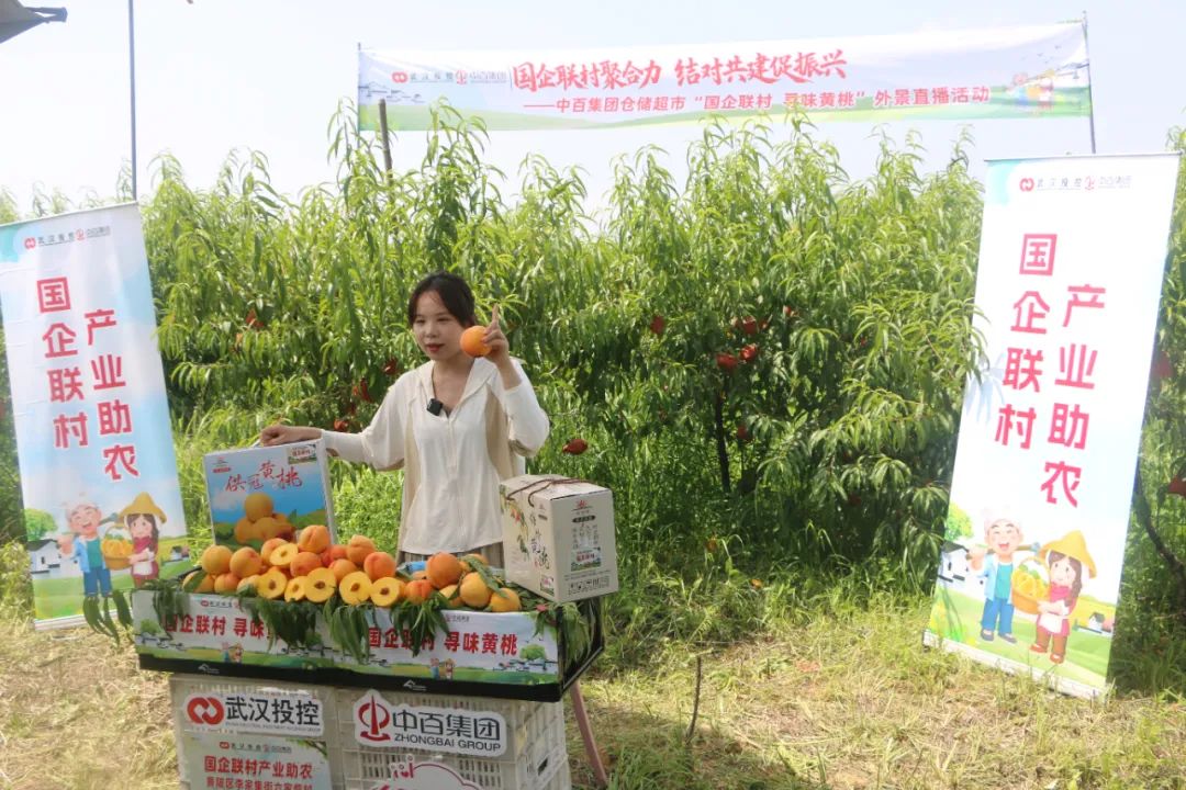 k1���� - ʮ��Ʒ�� ֵ������